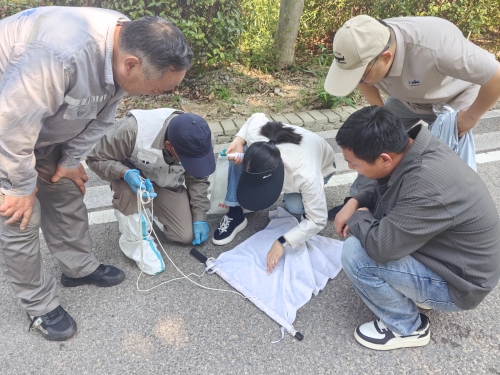 精准开展虫媒监测 筑牢夏季健康防护屏障